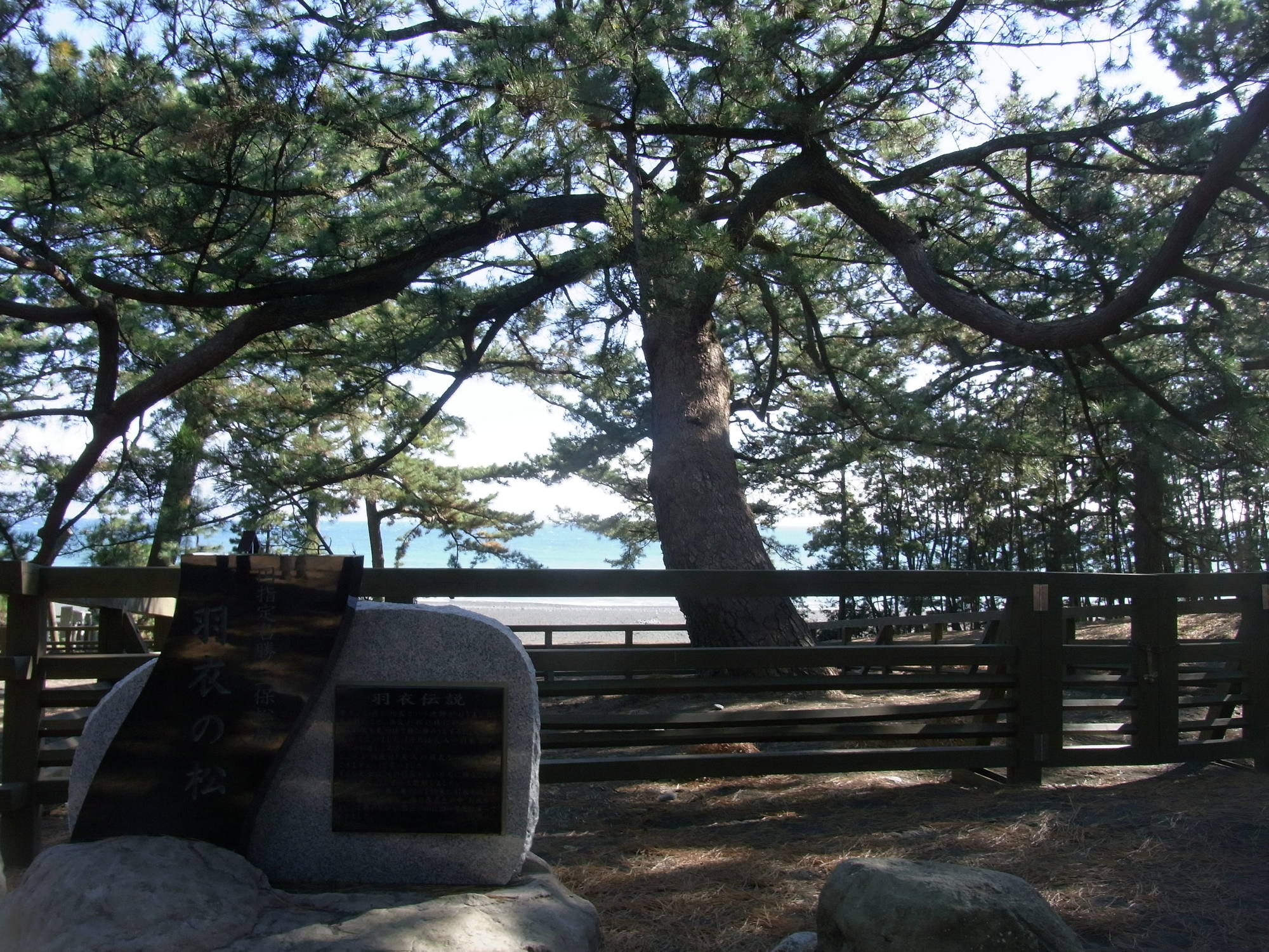 Named pine trees of Amanohashidate